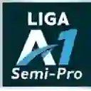 Liga A1