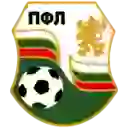 Кубок Болгарии