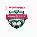1. Лига
