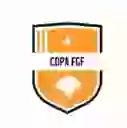 Кубок FGF
