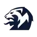 Чемпионат Норвегии