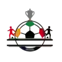 Футбольный кубок