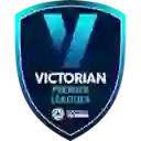 Премьер-лига Виктории 1