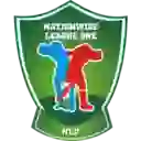 Nationwide League. Division 3