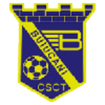Дачія Буюкань (19)