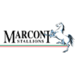 Марконі Сталліонз (U20)