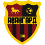 Avangard Bzov