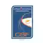 Чемпионат Кипра. Дивизион А. Женщины Чемпионат Кипра. Дивизион А. Женщины