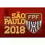 Copa Sao Paulo de Futebol Junior U14