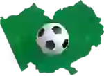 Altai Krai. 1st League