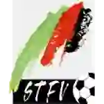 Steiermark, Landesliga