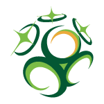 Премьер Дивизион