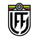 Copa LFF