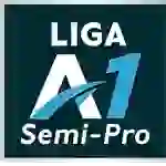 Liga A1