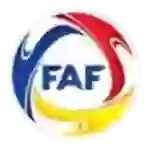 Copa Constitucio