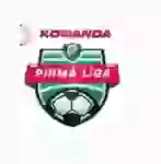 1. Лига 1. Лига