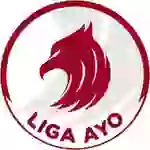 Чемпионат Индонезии. Лига AYO