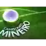 Чемпионат Бразилии. Лига Минейро до 20 лет