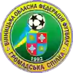 Украина. Кубок Винницкой области