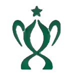 Кубок В'єтнаму