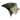 Линденвуд Лайонз