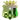 Tedeon EF