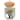Aceuchal