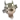 Navi Vutiselts