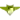 Moreirense (Women)