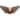Вердирройо