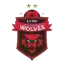 Wollongong Wolves U20