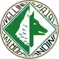US Avellino 1912