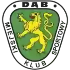Dab Đebno