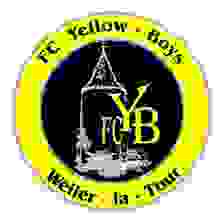 Yellow Boys