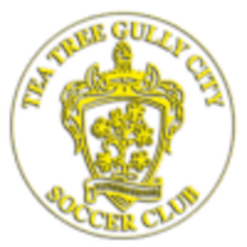 Tea Tree Gully City