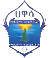 Awassa City