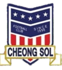 Daegu Dalseo Cheongsol FC
