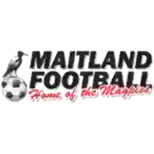 Maitland II
