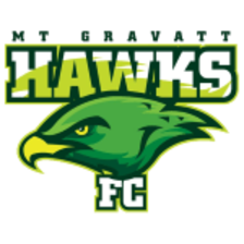 Gravatt Hawks (Women)