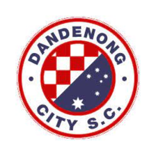 Dandenong City U21