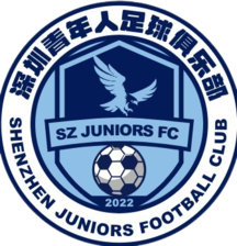 FC Thiếu Niên Thẩm Quyến