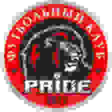 Đội bóng LFK Pride
