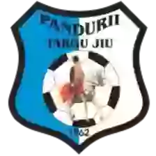 Viitorul Pandurii Targuiu