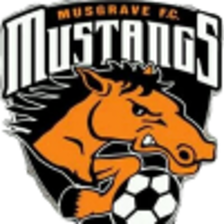 Musgrave Mustangs