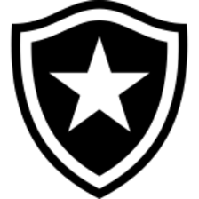 Botafogo Ribeirão Preto U20