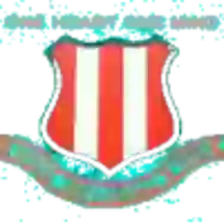 Wari Club