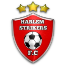 Harlem Strikers
