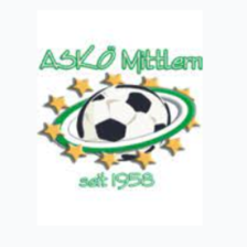 Asko Mittlern