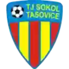 Sokol Tasovice