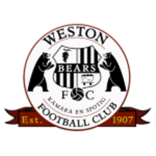 Weston Workers Bears